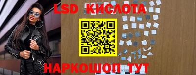 шишки Камышлов