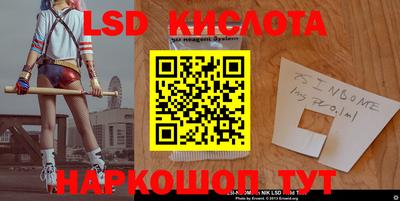 шишки Камышлов