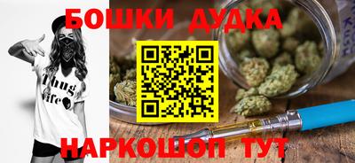 шишки Камышлов