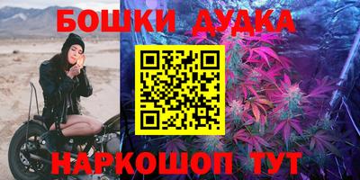 шишки Камышлов