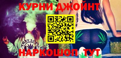 шишки Камышлов