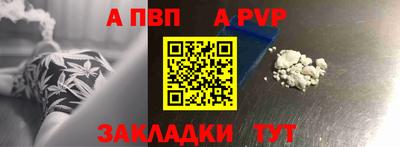 шишки Камышлов