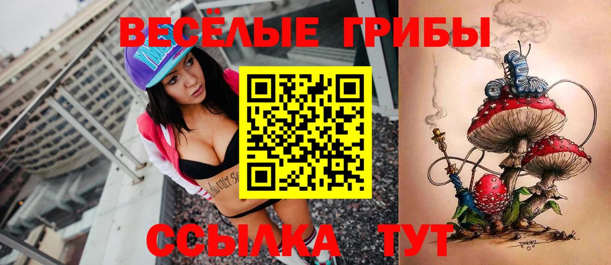 Псилоцибиновые грибы прущие грибы Кирово-Чепецк